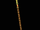 Long Staff (Diablo II)