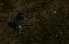 Monster Blow Dart