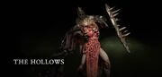 Hollow in-game model