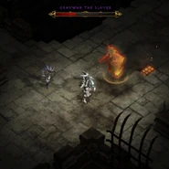 Graywar the Slayer on Level 14