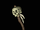 Grim Wand (Diablo II)