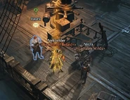 Nisza and the Shard-seeker return from the Voidwound's cage