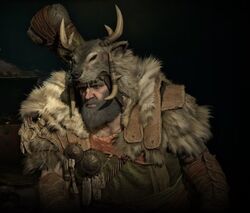 druidd4-home