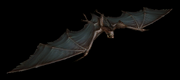 Vile bat.png