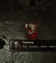 Tanwraig Lost
