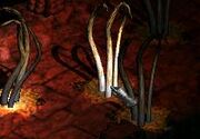 Monster Festering Appendage