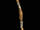 Gnarled Staff (Diablo II)
