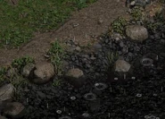 River around the Encampment