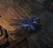 Trebuchet Crab