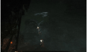 Drowning Fern