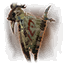 Harvest (pennant) icon.png