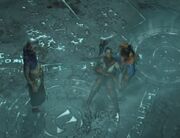 WandererNeyrelleVhenard2