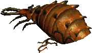 Coldworm the Burrower (Diablo II)