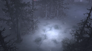D3Blizzcon15 EternalWoods TFu 00.png