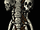 Bone Shield (Diablo II)