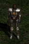 Paladin wearing Gothic Plate seen from the front
