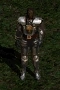 Paladin wearing Gothic Plate seen from the front.png (11 KB) Paladin wearing Gothic Plate seen from the front