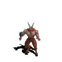 Flesh Clan (Diablo I).gif