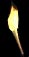 Hellfiretorch.png