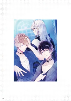 【2冊セット】DiABOLiK LOVERS ILLUSTRATIONS DIABOLIK LOVERS イラスト集 2冊セット ⭐美品⭐ DIABOLIK LOVERS