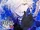 Diabolik Lovers ZERO Floor.3 Subaru Sakamaki
