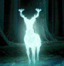 Stag Patronus