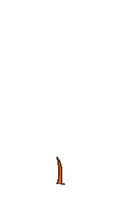 Oak tree growing.gif