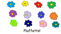 Common Pluffetts