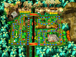 DK's Jungle Adventure Map