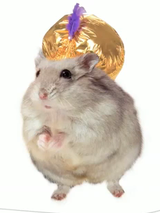 Genie