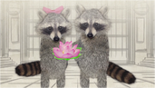 Raccoon(right) and his wife(left)