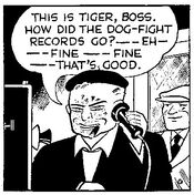 TigerLilly01.jpg