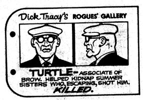 RGTurtle.jpg