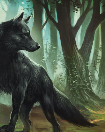 Lonas Die Legenden Von Andor Wiki Fandom