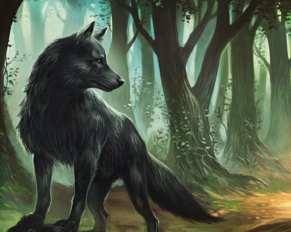 Lonas Die Legenden Von Andor Wiki Fandom