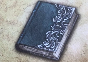 Ein Zauberbuch, welches  aus  mit in den Süden brachte.