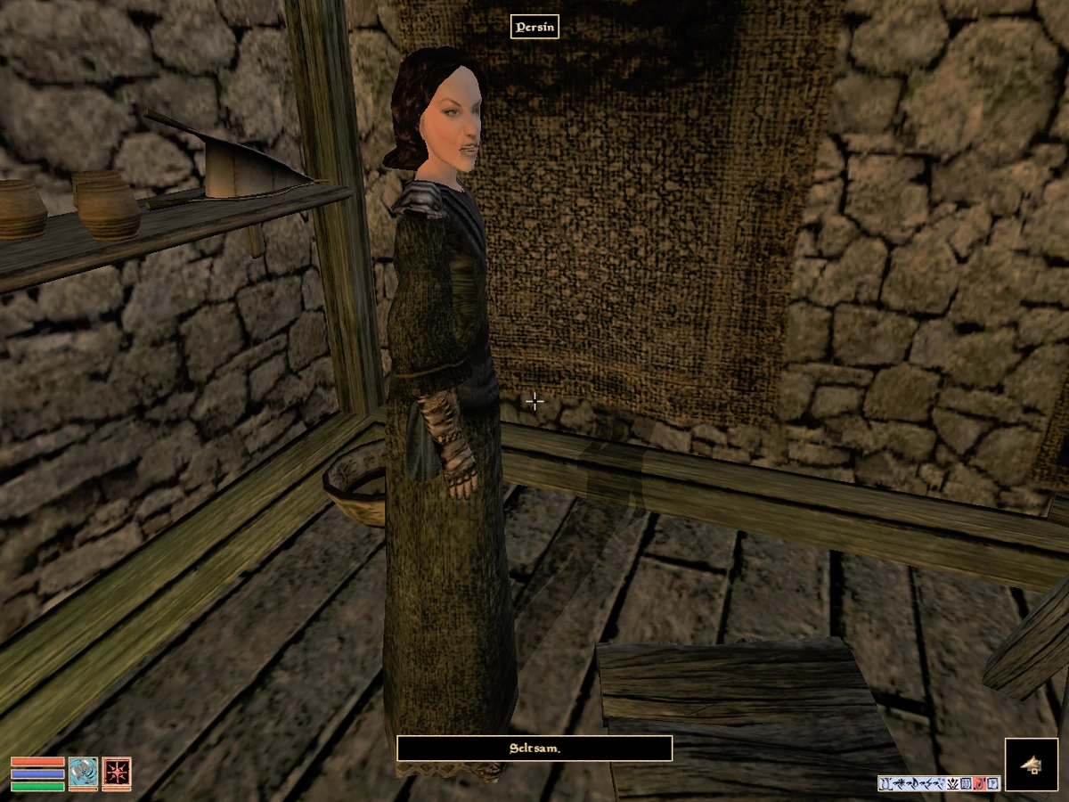 Persin Die Welt von Vyn Wiki Fandom