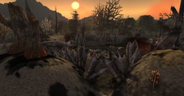 Ruinen der Steinbrecher