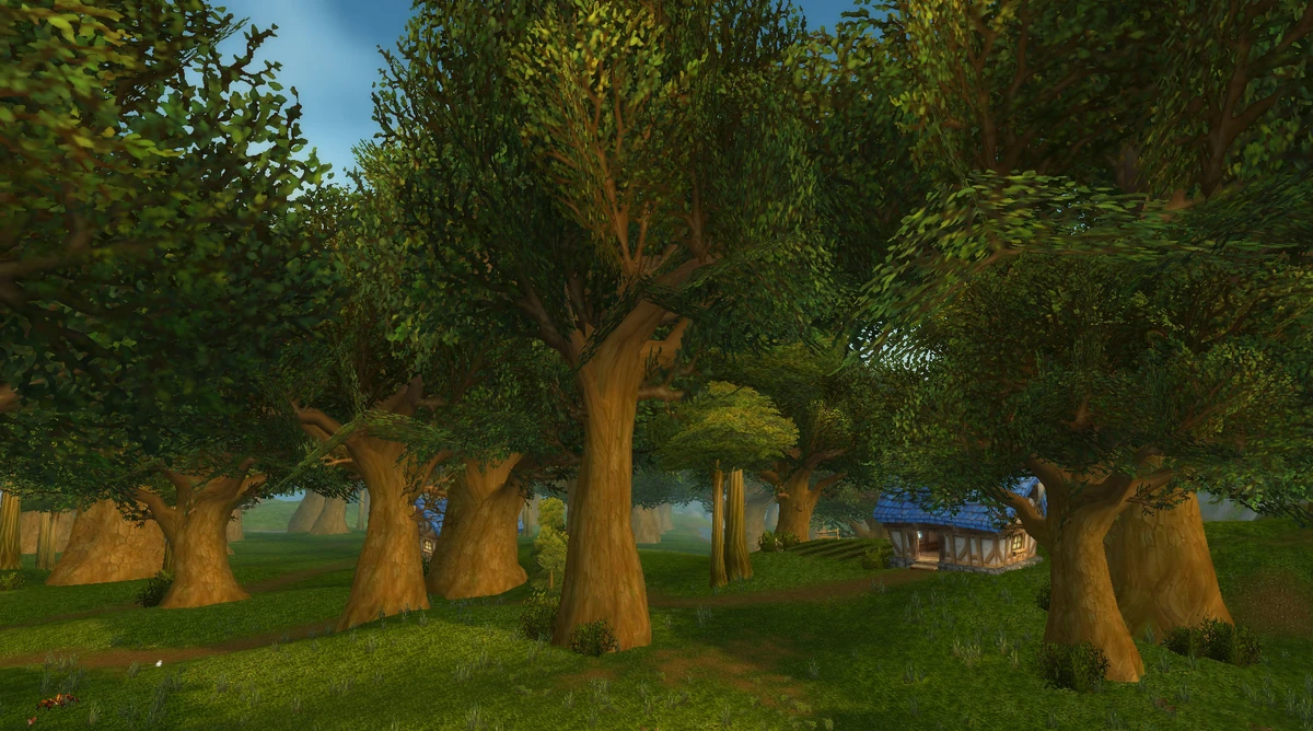 Wald von Elwynn Die Aldor Wiki Fandom