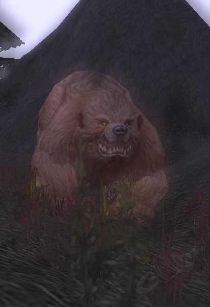 Spirit bear quests. Дух медведя. Дух Великого медведя. Дух медведя ВОВ. Дух Великого медведя ВОВ Классик.