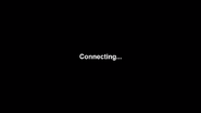Connecting screen (Appears after updating for 10 minutes or when the game has connection problems).