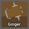 GingerTacoBoss