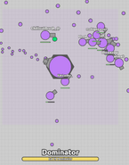 Purple Dominator in Tag Mode