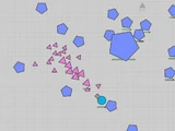 Pentagon Nest
