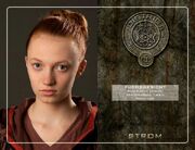 042247052-the-hunger-games-die-tribute-von-panem.jpg