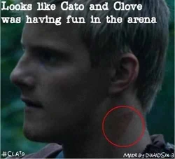 Ich bin nicht die Einzige, die auf Cato stand, oder? : r/Hungergames, image size:250x227