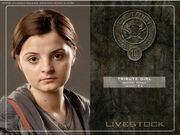 District 10 tribute girl-1.jpg