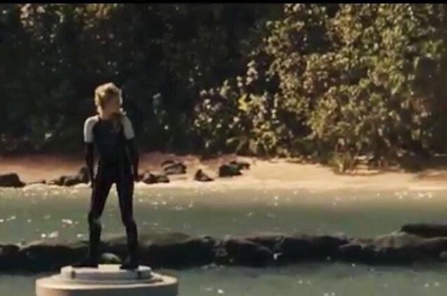 Cashmere Die Tribute Von Panem Wiki Fandom