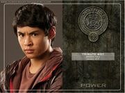 District 5 tribute boy