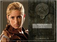 District 7 tribute girl